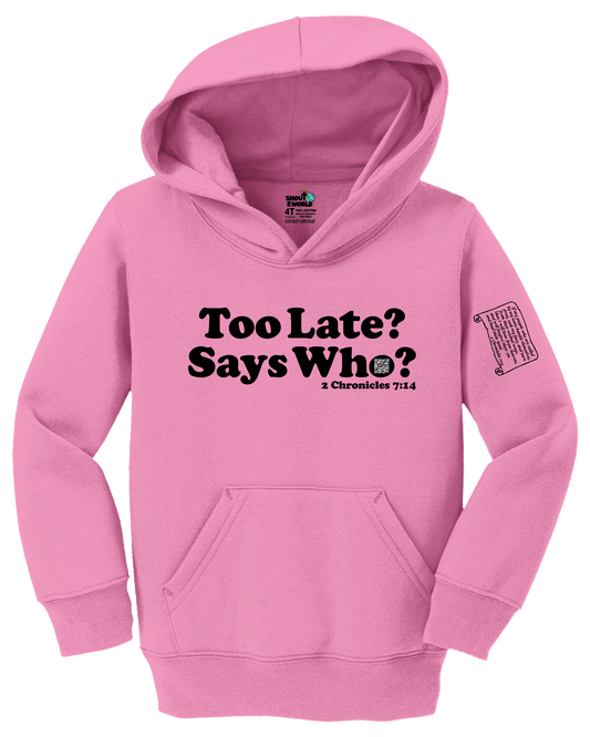 Fleece Pullover Hooded Sweatshirt Toddler