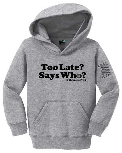 Fleece Pullover Hooded Sweatshirt Toddler