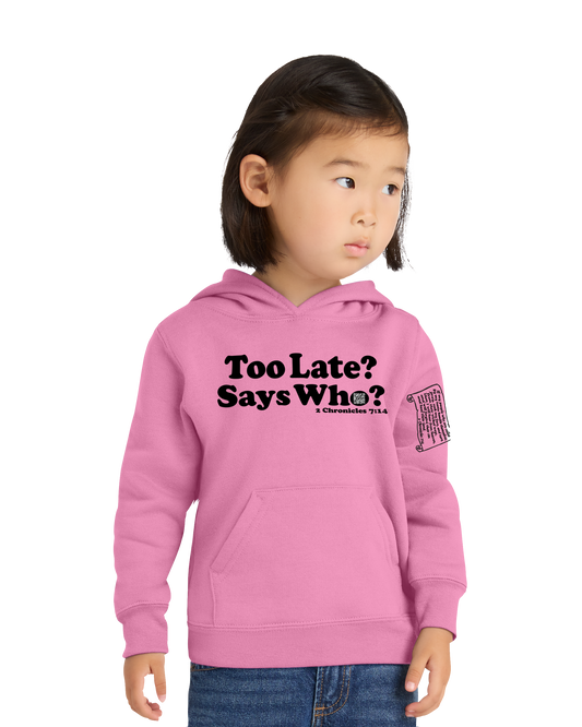 Fleece Pullover Hooded Sweatshirt Toddler